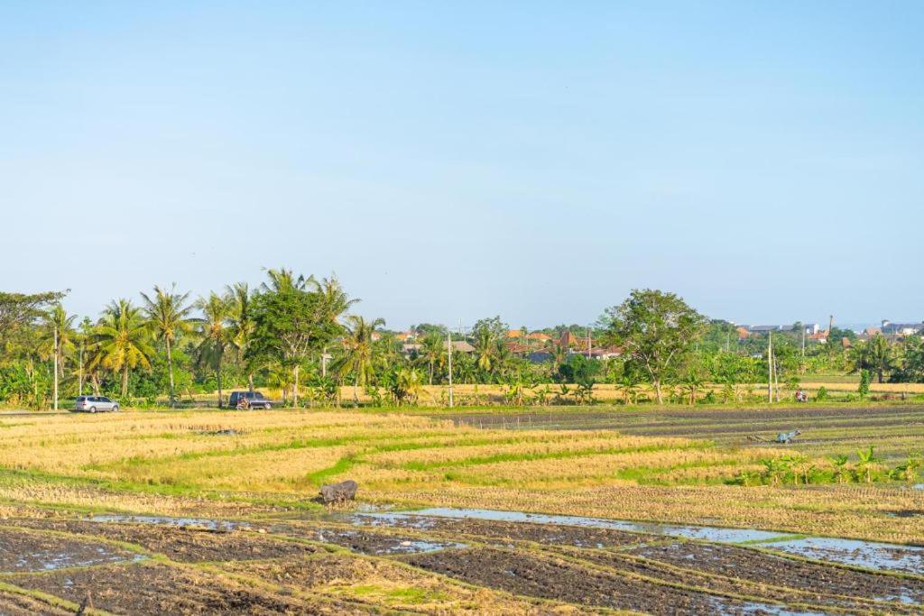 Pondok Lulik Seseh Beach Munggu Экстерьер фото